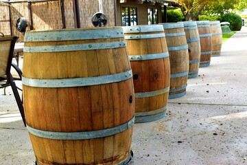 Beautiful wine barrels Wine Tasting