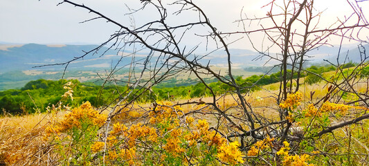 beautiful nature landscape