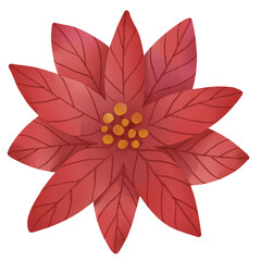 Christmas flower