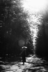 Fototapeta premium silhouette of a person in the forest