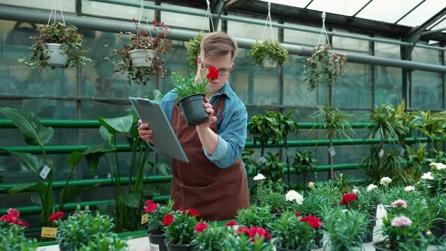 Concentrated male florist with down syndrome looking at flowers in the greenhouse