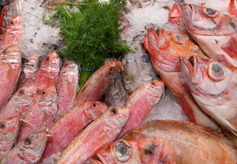 Fresh threadfin bream and redfish on display on a fishmonger's market stall. No people.