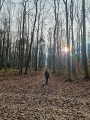 A walk in the Lagiewnicki Forest into a sunny and cold November morning, Lodz, Poland