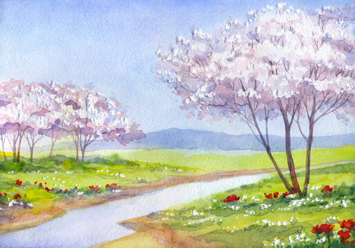 Watercolor landscape. Flowering fruit trees over the quiet lake in a gentle spring morning