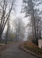 Road in the Julian District, on a cold and foggy November morning, Łódź, Poland.