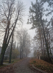 Road in the Julian District, on a cold and foggy November morning, Łódź, Poland.