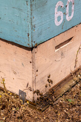 Honey production at the Rio Claro in Chile