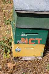 Honey production at the Rio Claro in Chile