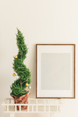 Indoor cypress or thuja in pot is decorating balls baubles like Christmas tree. Alternative Xmas trees and mockup with empty blank for advertising. Copy space and space for text