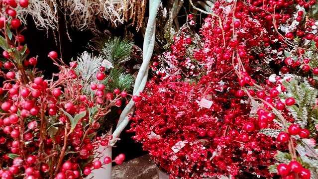 Christmas decoration. Fir and pine snowy branches in holly berries are in pot for sale. The shop of New Year interior decor. Big and small red color mistletoe. 