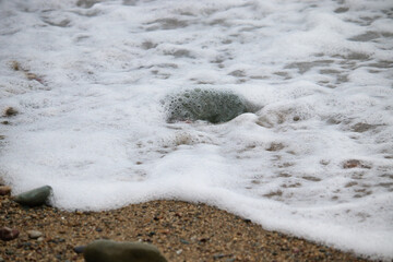 Soft ocean wave with foam on a sandy beach