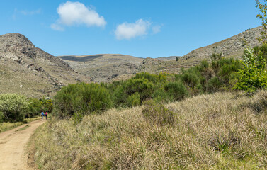 camino a la pradera