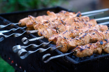 Delicious meat skewers on brazier during picnic