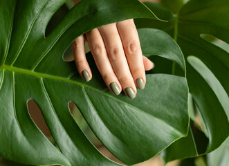 Woman's hand with a green manicure against the background of a monstera leaf