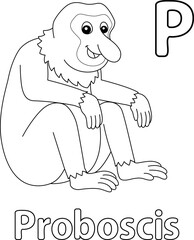 Proboscis Monkey Alphabet ABC Isolated Coloring P
