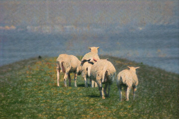 Serene landscape with grazing sheep on a dike at the North Sea. Watch as they enjoy the salty air and calm waters in this beautiful natural setting. With oil paint filter and canvas texture.
