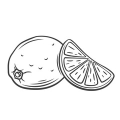 Lemon line icon vector illustration. Hand drawn outline whole tropical fruit and citrus cut into wedge with zest peel and fresh pulp, slice of vitamin lemon for cooking summer drink or juice