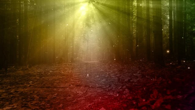 Mystic dark colorful foggy forest fairytale path with fireflies lights movement.