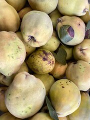 mangoes