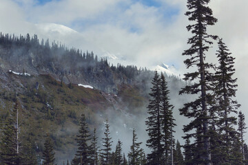 Fog in the mountains