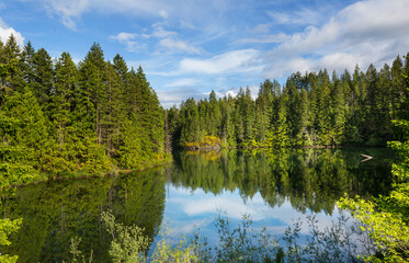 Lake in the forest