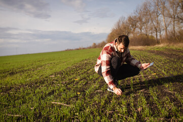 A modern farmer uses a tablet in the field of organic wheat