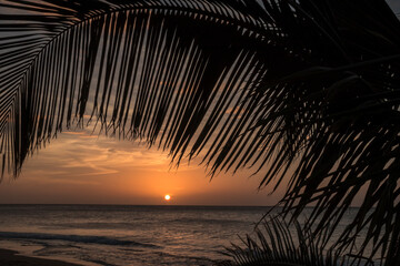 Fototapeta premium Coucher de soleil en Guadeloupe Antilles Française