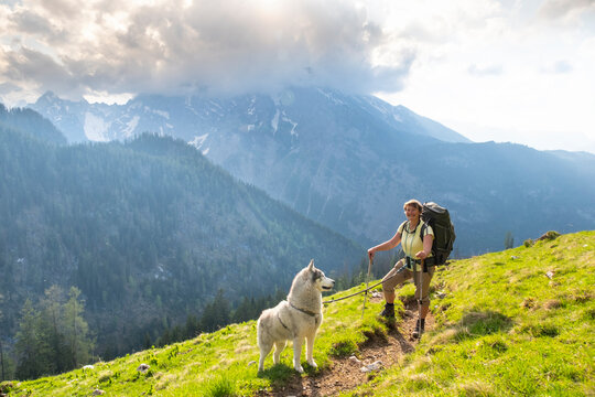 Sporty woman with a husky in Alp mountains. Traveling with a pet, friends, adventure concept