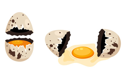 Cracked quail egg hatching steps whole and broken abstract concept set. Vector graphic design illustration element