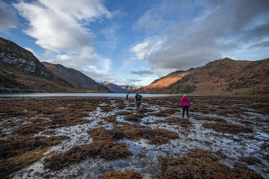 Loch Hourn beachcombing
