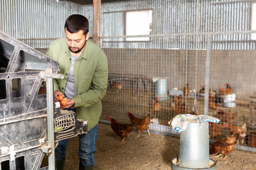 Interested positive young bearded farmer engaged in breeding of laying hens, collecting fresh eggs...