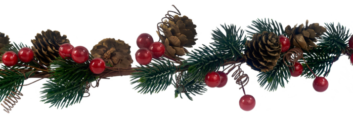 rama de pino bayas rojas