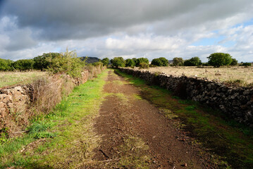 Obraz premium Sentiero per il Nuraghe Oes