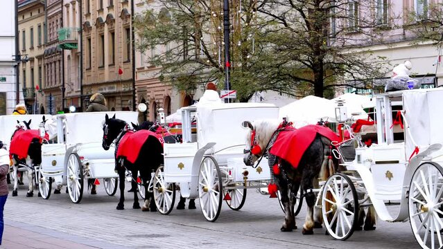 White horse-drawn carriages in the winter on the street in the center of Krakow, Poland. The horses are covered with red blankets to keep warm. Authentic scene of Polish traditions