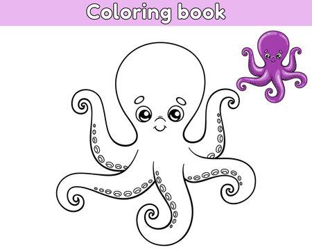 Octopus outline and colorful octopus. Coloring book for kids. Vector illustration of cartoon sea animal in childish style.