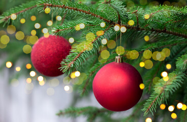 Red ball on christmas tree and defocused lights