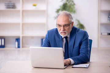 Old male boss working at workplace