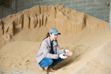 Woman farmer squatting at heap of soybean husk in fodder storage and using scoop.