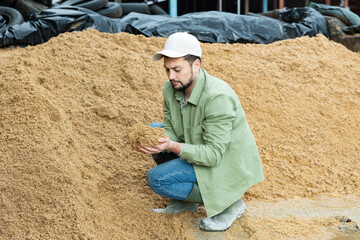 Farmer checks the quality of beer bagasse in the backyard of a cow farm