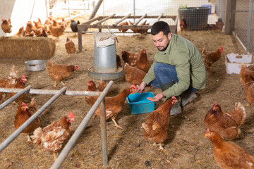 Male farmer feeding chickens in a chicken coop