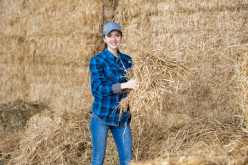 Naklejka na ściany i meble Portrait of positive female farmer with bunch of hay in her hands in the backyard of the farm