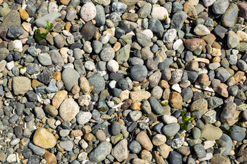 Rocks and Pebbles Texture / Pattern