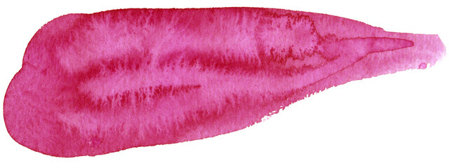 Bright watercolor paint stroke background. Hand-drawn illustration. Viva magenta