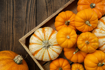 Several small pumpkins in a wooden crate on a kitchen table.