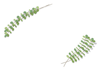 ユーカリのフレーム枠（手描き水彩風ベクターイラスト）