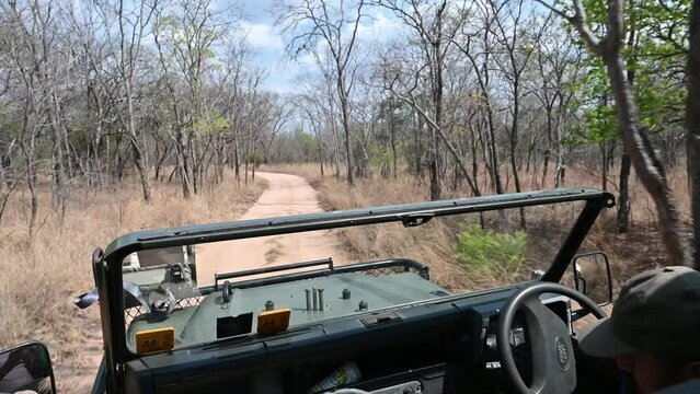 game drive through Matobo National Park with a guide driving and old Range Rover in Zimbabwe, Africa