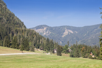 Fototapeta na wymiar Selective blur on a typical alpine landscape, a mountain glade, a clearing field in an alpine forest of triglav national park in Zgornje Jezersko, in the julian alps in Slovenia, in summer....