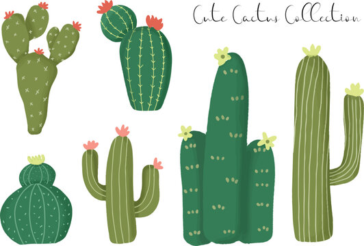 a set of cute hand drawn cactus with bloomy flower