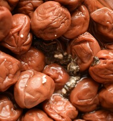 梅干しのカビ、梅干しに生えた白いカビ