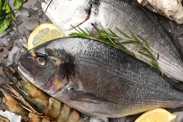 Fresh raw dorado fish, shrimps and lemon on grey table, closeup